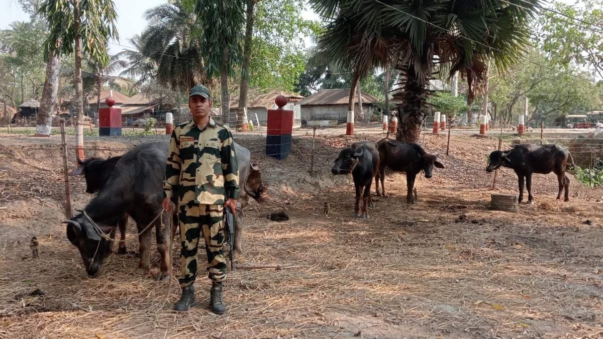 Miscreants attack BSF on India-Bangladesh border