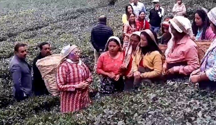 Mamata Banerjee in high spirits at Darjeeling’s Makaibari tea estate