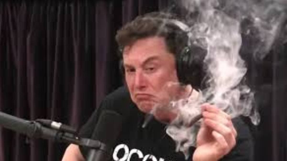 Does Elon Musk consume substane buzz in the net community