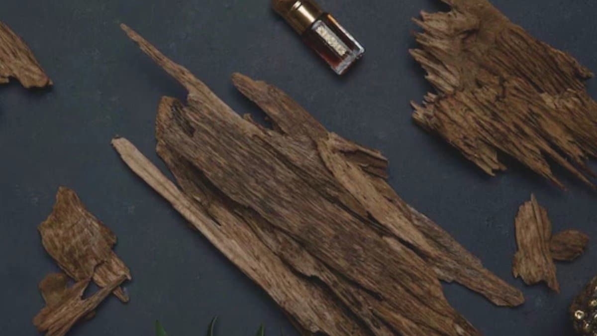  10 gram of world s most expensive wood cost more than one kilo gold