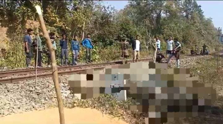  Elephant dies after being hit by a train in Teliyamura