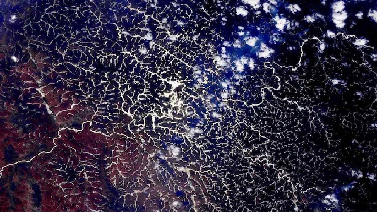 Amazon appears almost like a living organism from Space