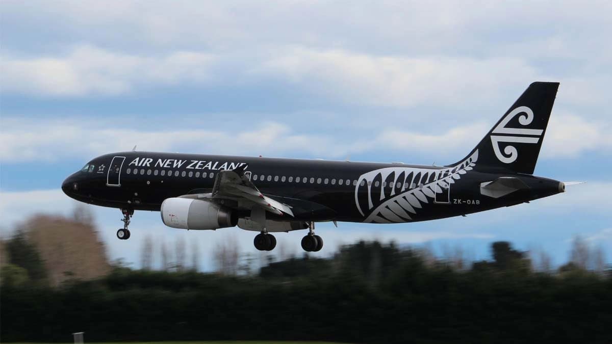 Airplanes colour are usually white but Air New Zealand is a rare exception Why
