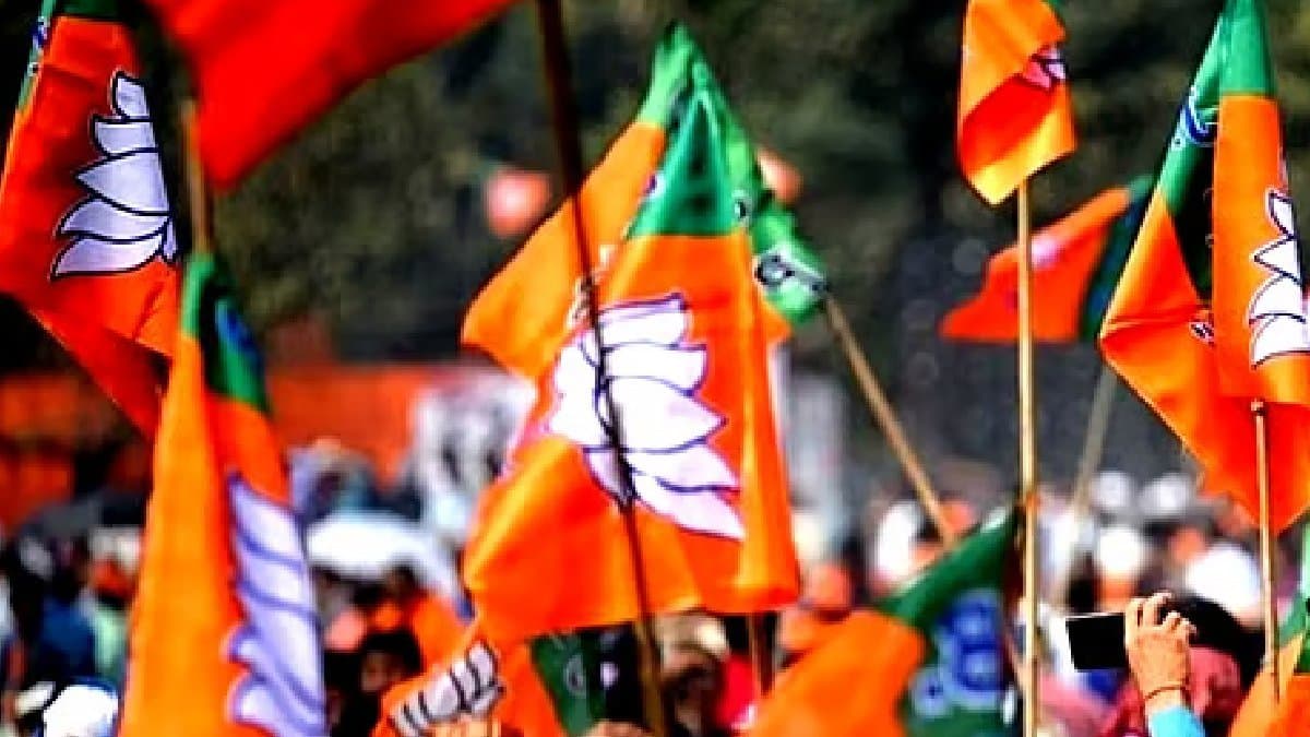 Bye Election 2025 Update BJP Won only Kadi Gujrat