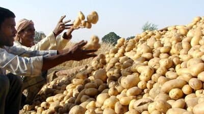  Potato traders strike,  Potato price hike update gnr
