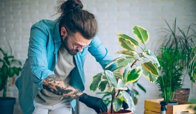 Houseplant Hacks: ইনডোর প্ল্যান্ট পরিচর্যায় এই ভুলগুলো করছেন না তো?