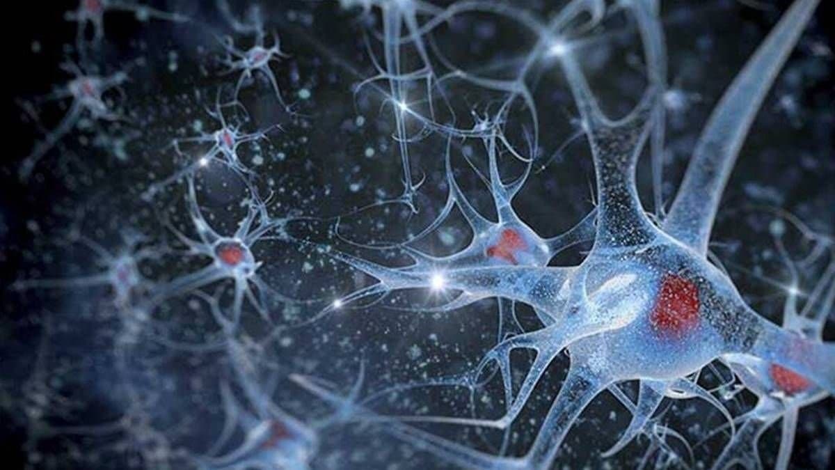 Another guillain-barre patient found in coochbehar_gnr