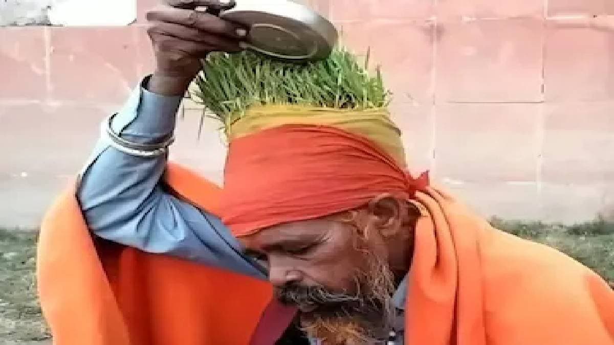 Anaaj Wale Baba Sadhu Growing Grains On His Head mahakumbh mela 2025