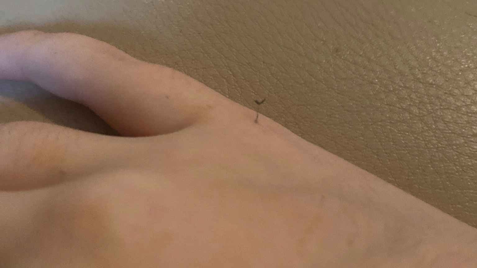 Internet is in disbelief as woman finds plant growing out of her hand gnr 