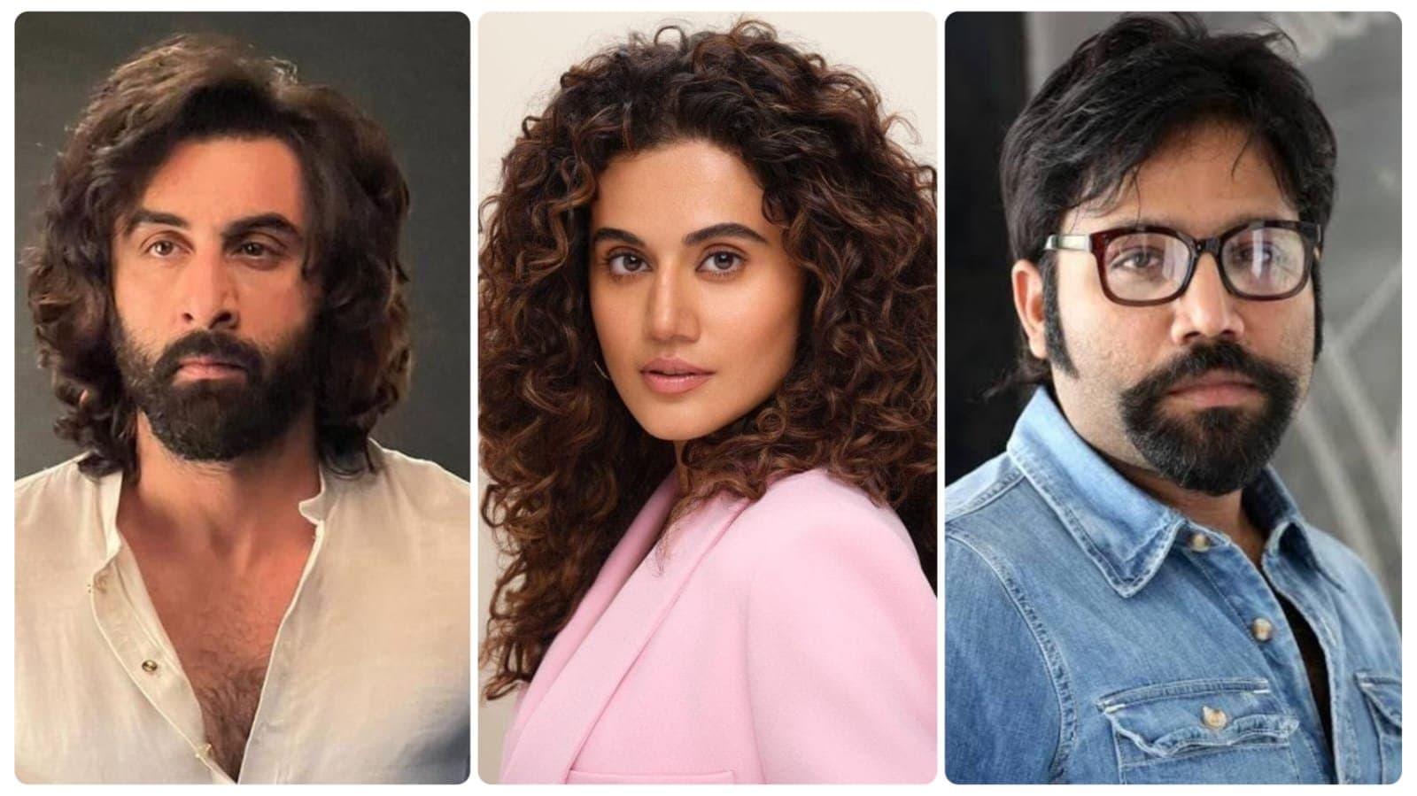 Taapsee Pannu: 'অ্যানিম্যাল'-এ রণবীরকে সমর্থন জানিয়ে পরিচালককে একহাত নিলেন তাপসী! কী বললেন অভিনেত্রী?