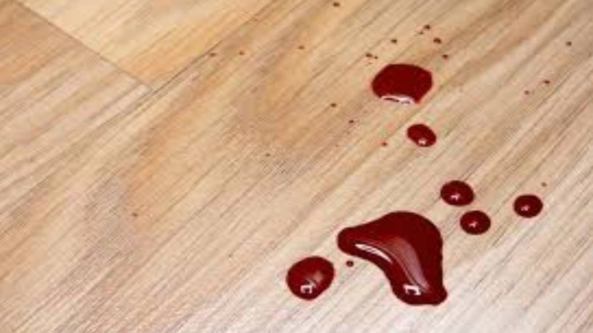 Adult actors disturbing dancing video gets viral