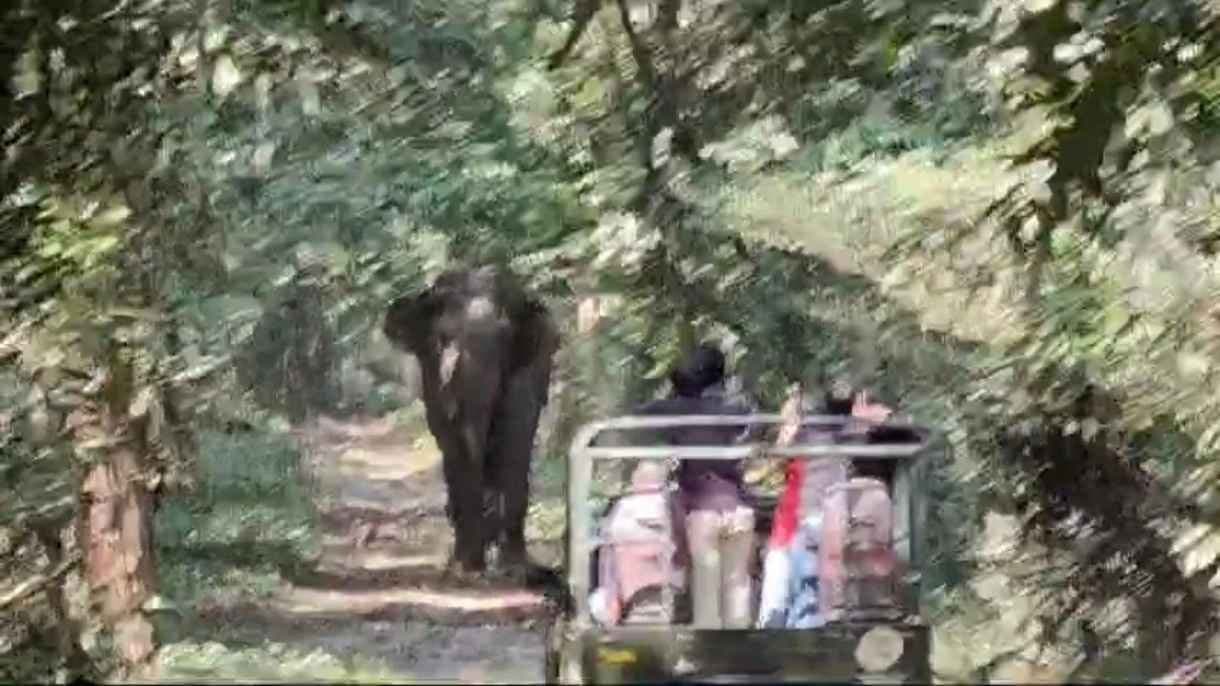 Singer Manomay Bhattacharya narrowly Escape Elephant Attack On Buxa Tiger Reserve