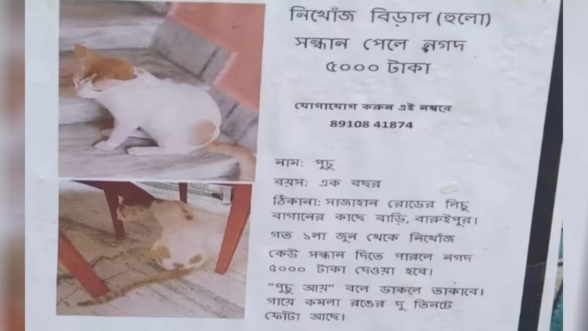 Cash reward of trace out of a cat announced in Baruipur