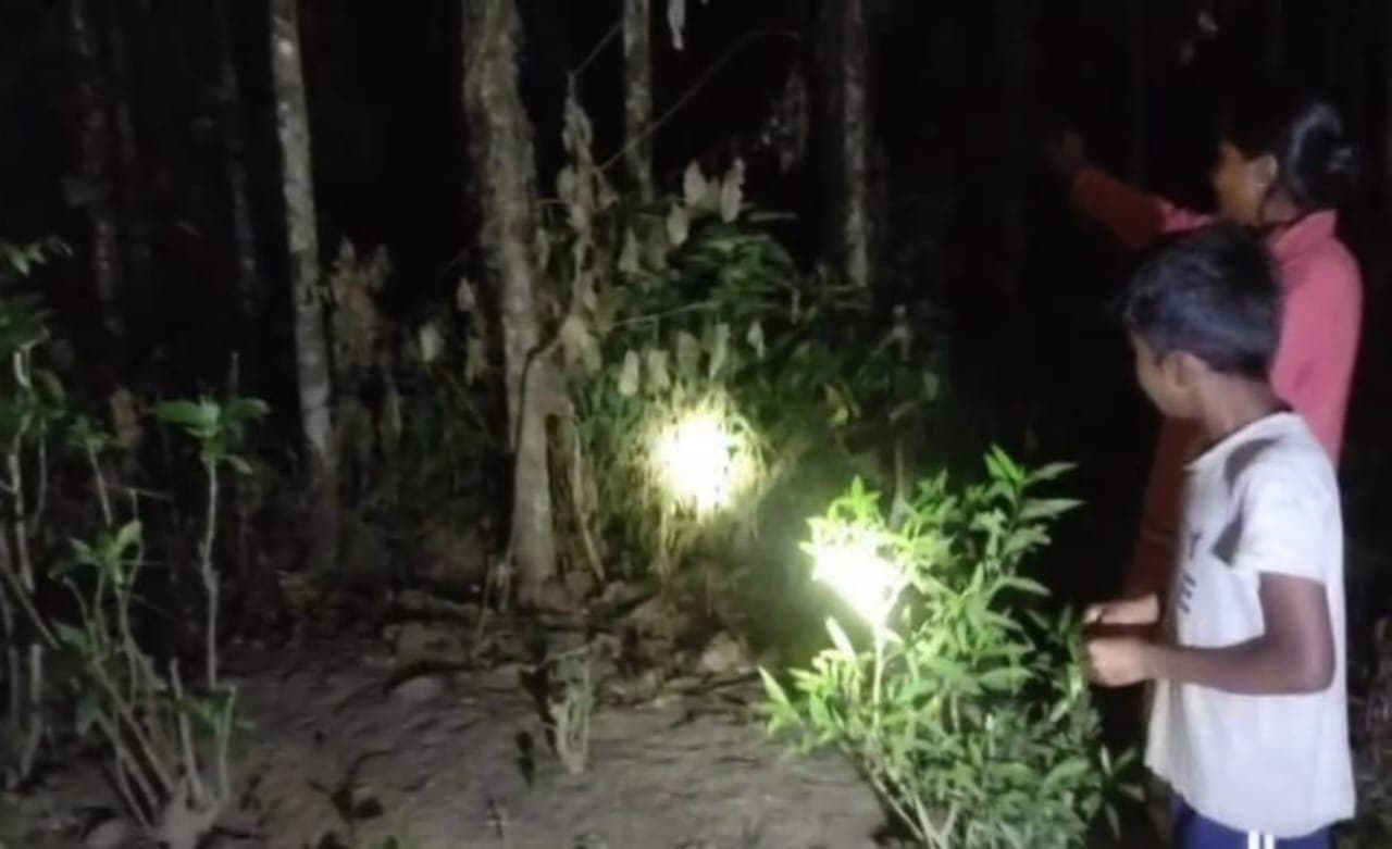 dear recover from banarhat