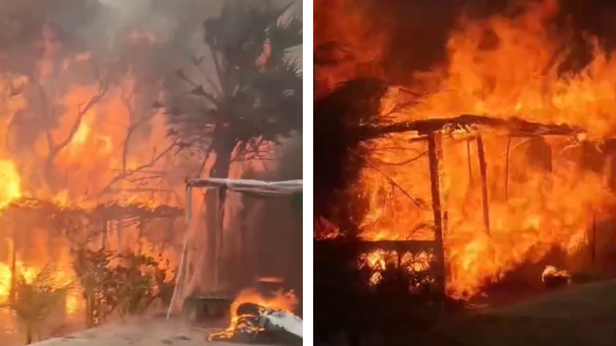 Fire in Mousuni Island, many cottages were destroyed gnr