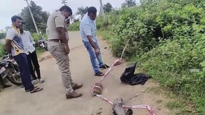 Severed Head Chopped Up Body Of Woman Found in 10 Locations in Karnataka
