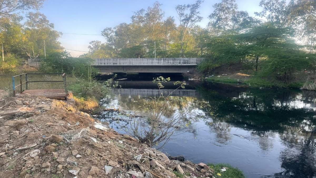 Cow vigilants kills hindu youth in haryana