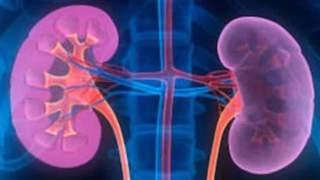 How to keep kidney healthy