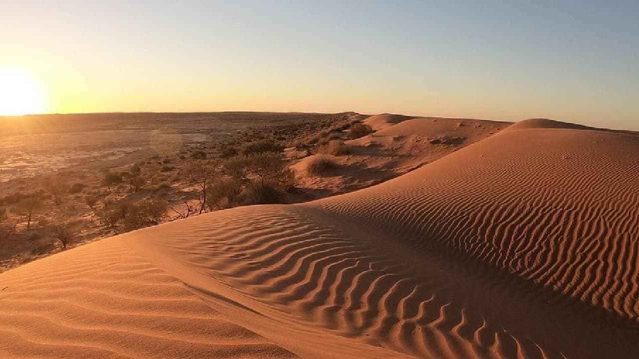 Sand sing like a musical instrument whats the reason here all you need to know