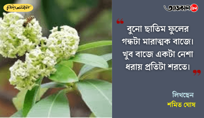 Nostalgic Autumn in Bengal: Puja Memories, Old Bengali Music, and Changing Digital Times