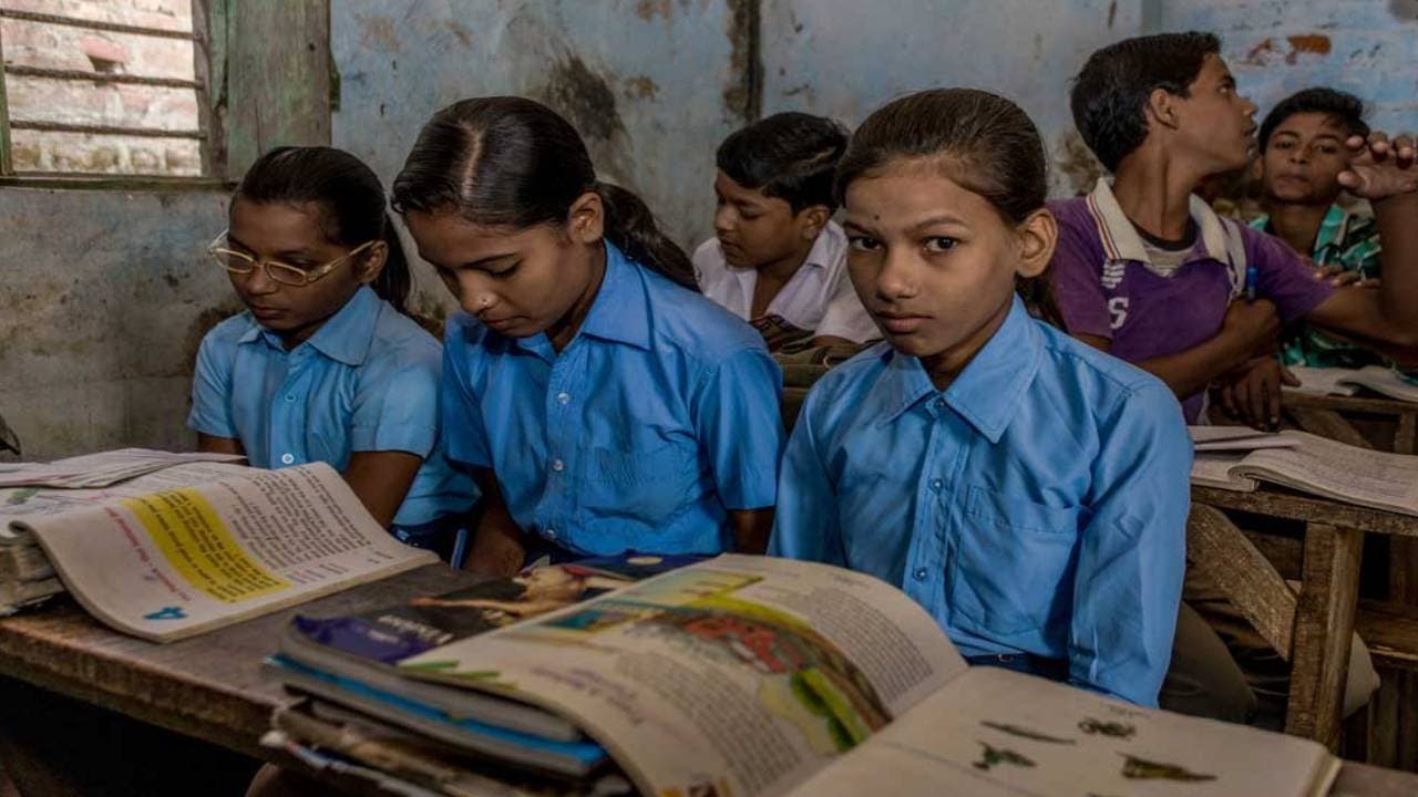 Numbers of govt schools declined in India