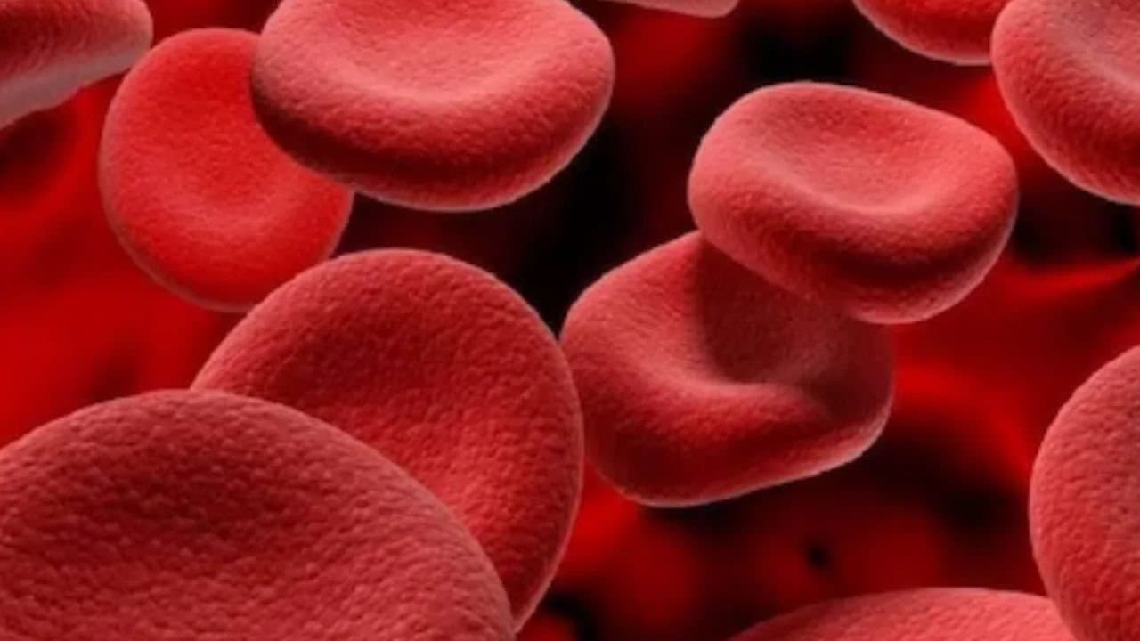 Beetroot helps increase haemoglobin how to eat