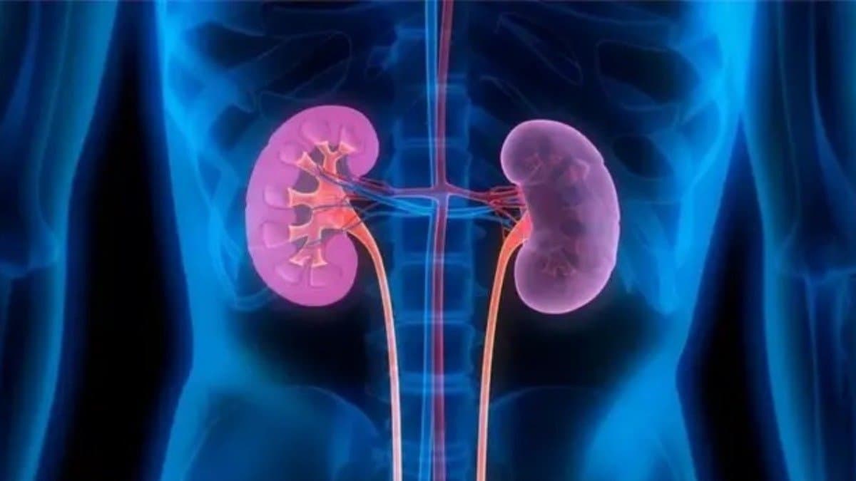 these signs indicate your kidney is in danger lif 