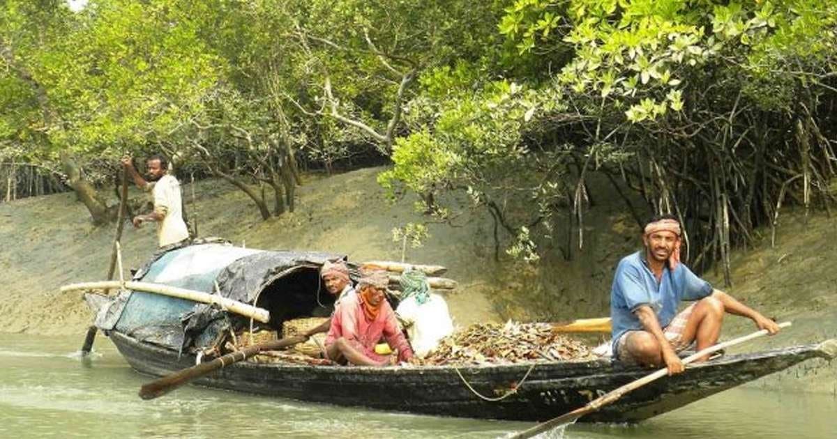 Life on the Edge: Struggles and Survival in the Sundarbans
