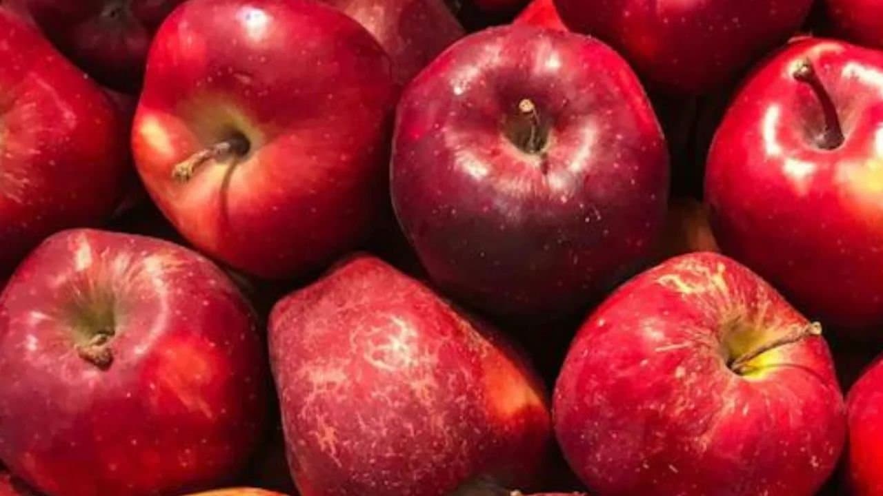 Why you should eat apple know the benefits