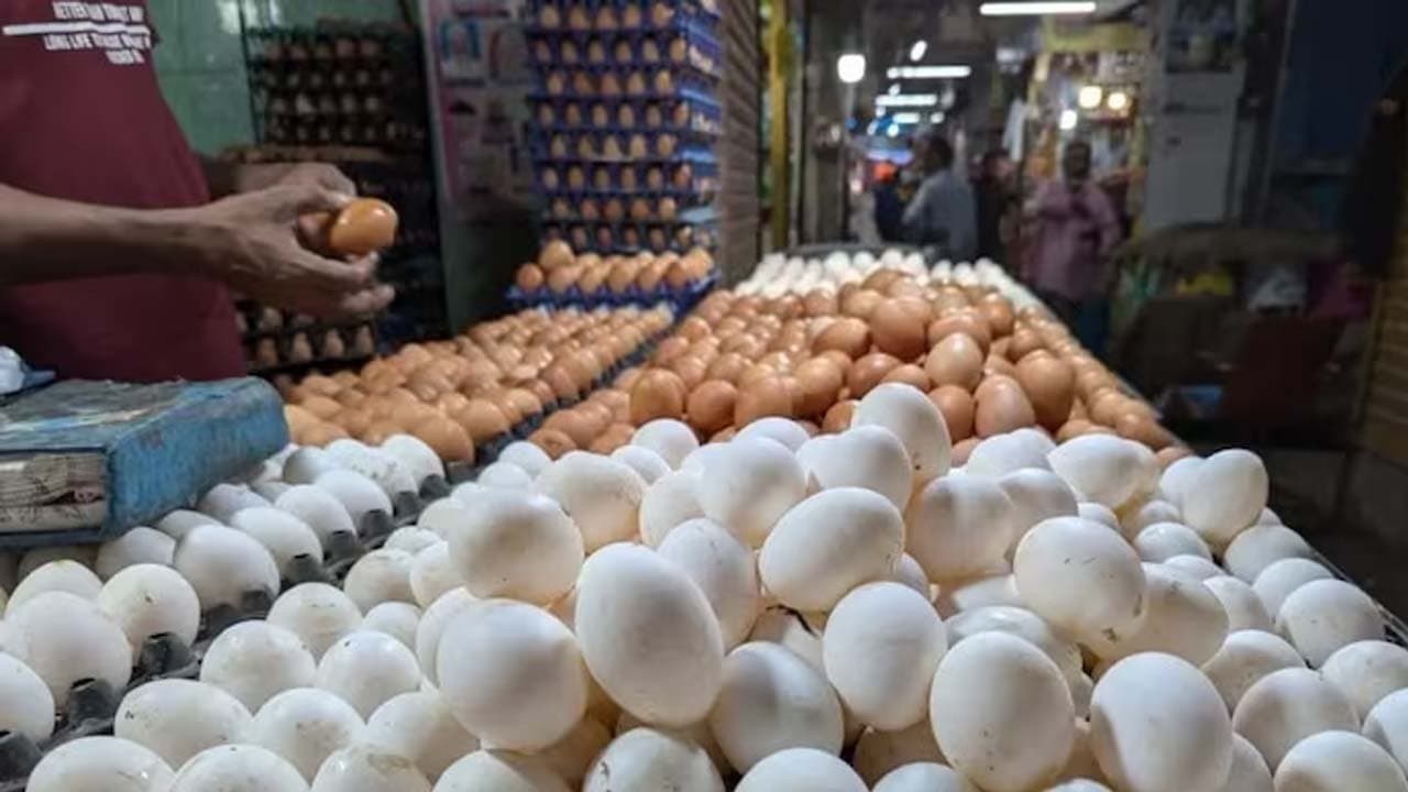 Why is the price of eggs increasing so much When will the price decrease