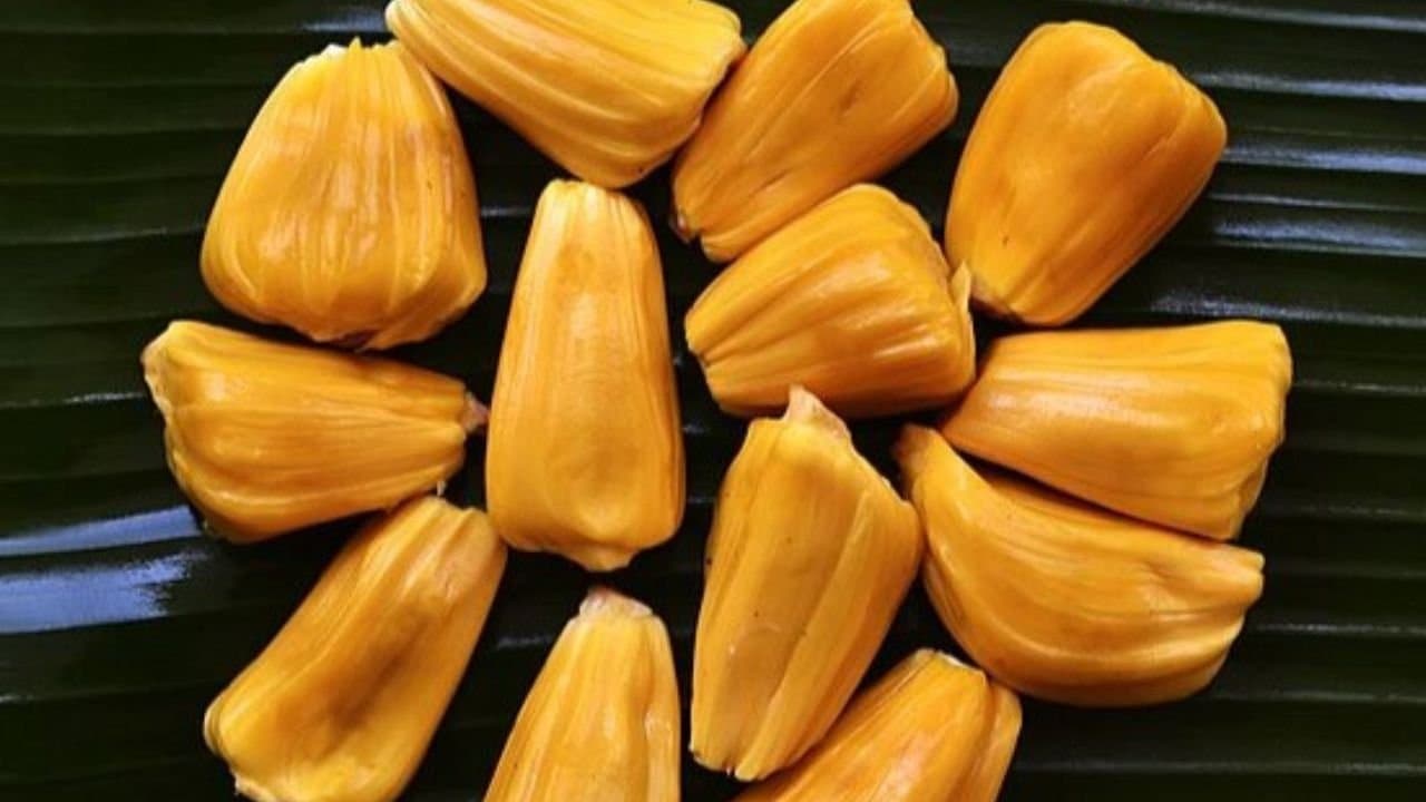 Health tips benefits of eating jackfruit 