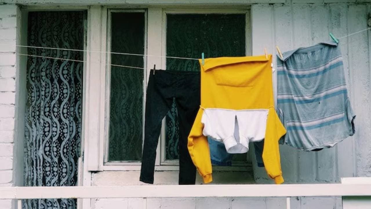Winter Clothes Drying Hacks: These wasy tips solve Damp Laundry in cold season