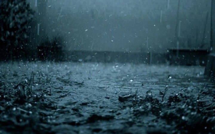 Monsoon in Bengal: Love, Loss, and Life Under the Rain