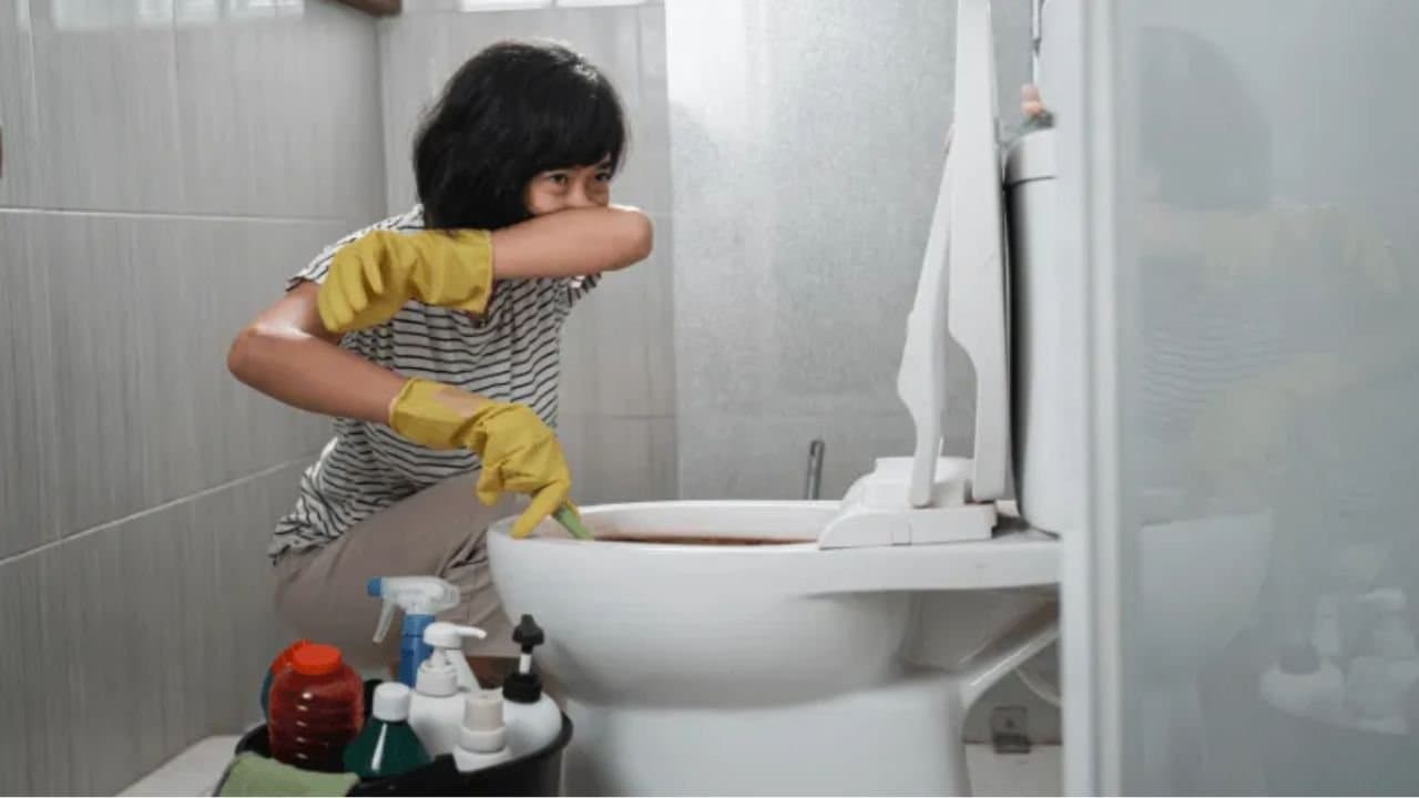 How to remove the foul smell coming from the bathroom here is the easy trick