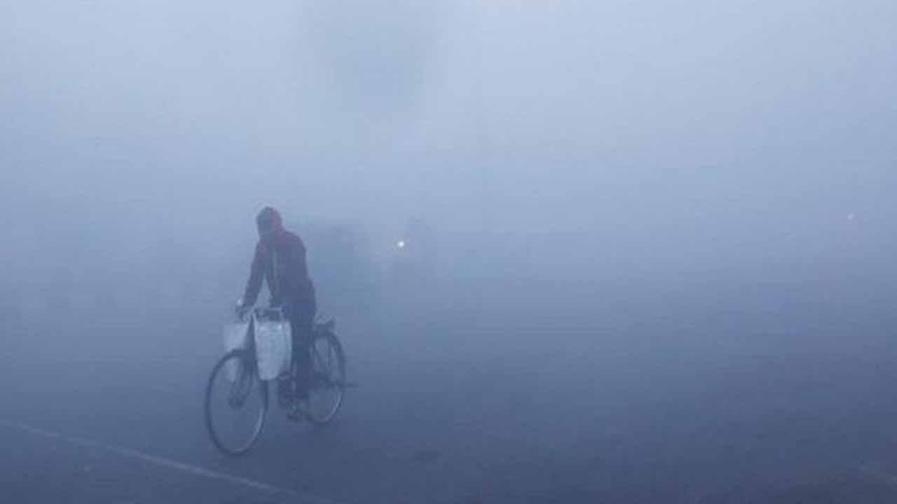 IMD Weather Forecast: Light Rainfall Snowfall Bon Chilling Cold Forecast In West Bengal This Week