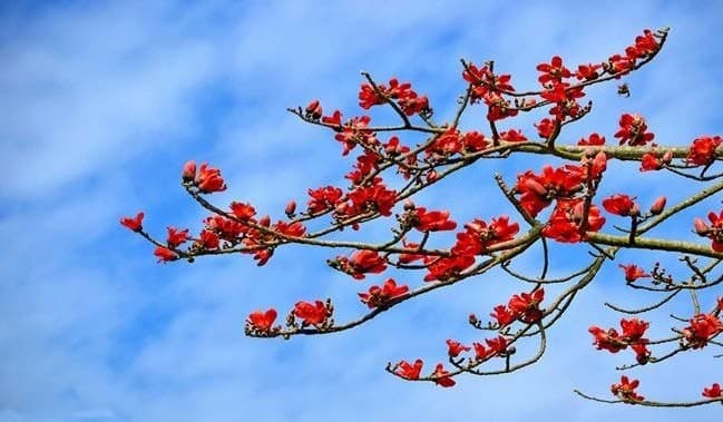 The Inner Spring: Finding Emotional Renewal Beyond Seasons