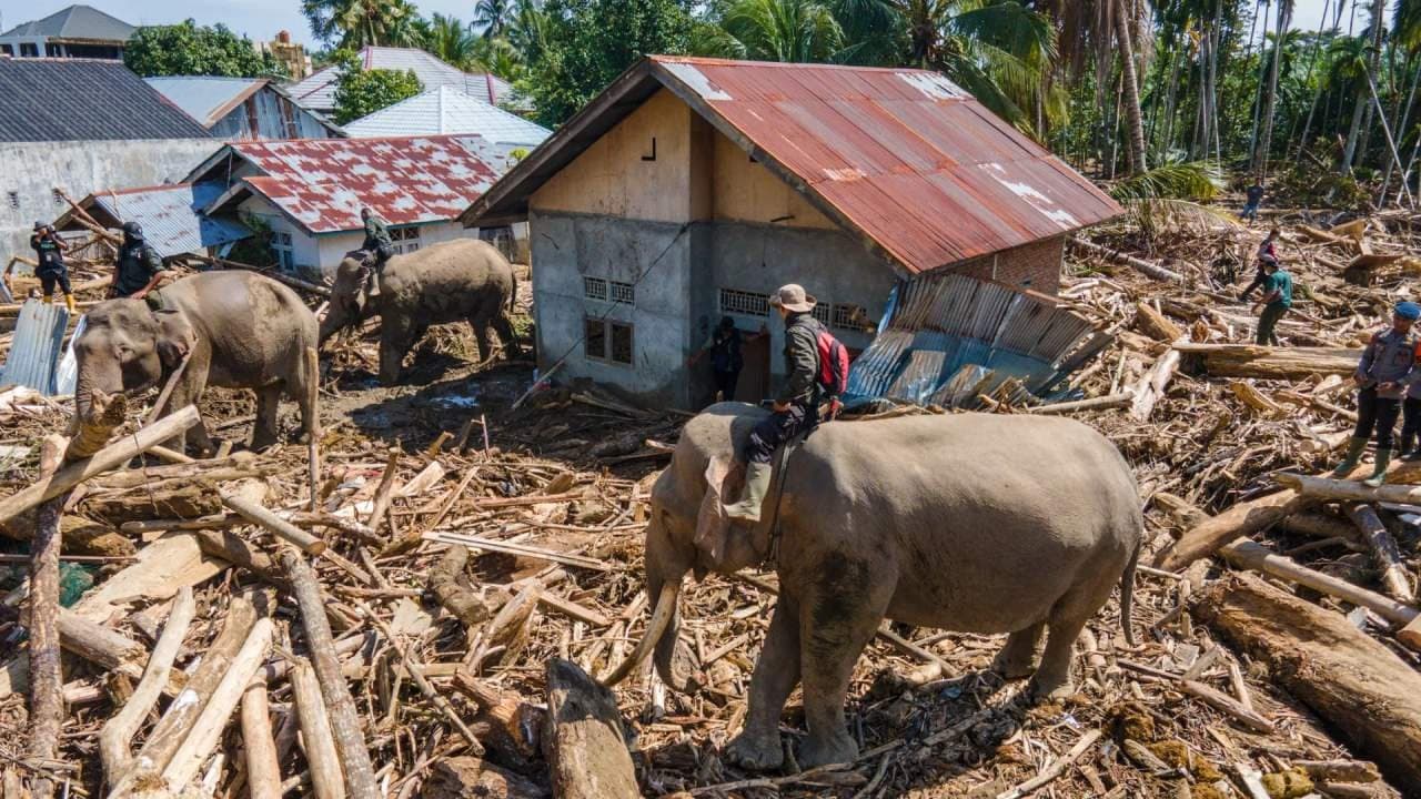 Over 1000 dead due to torrential rain and flood in Indonesia