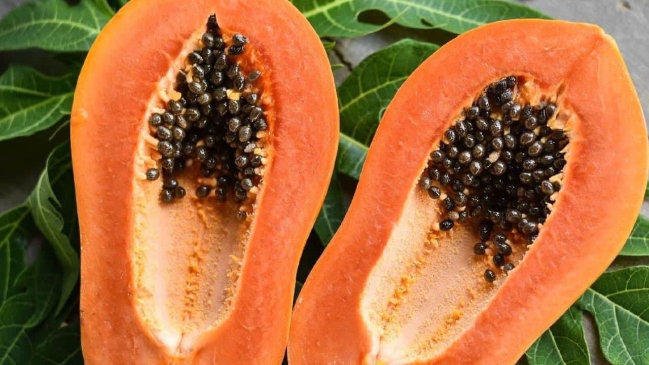 Know the right time to eat papaya