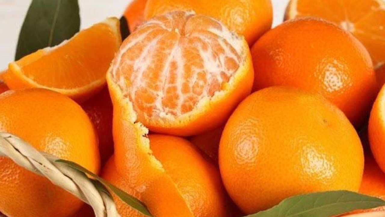 Darjeeling Mandarin Orange gets GI tag