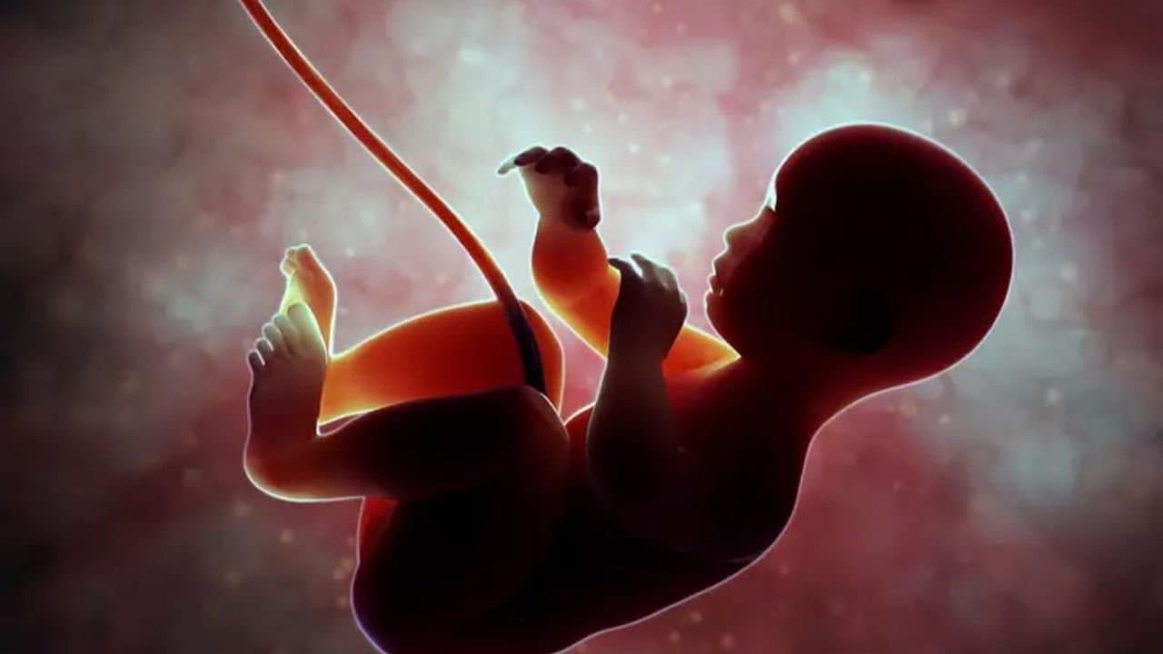 Why human born after 9 months of pregnancy here is what ancient texts are saying