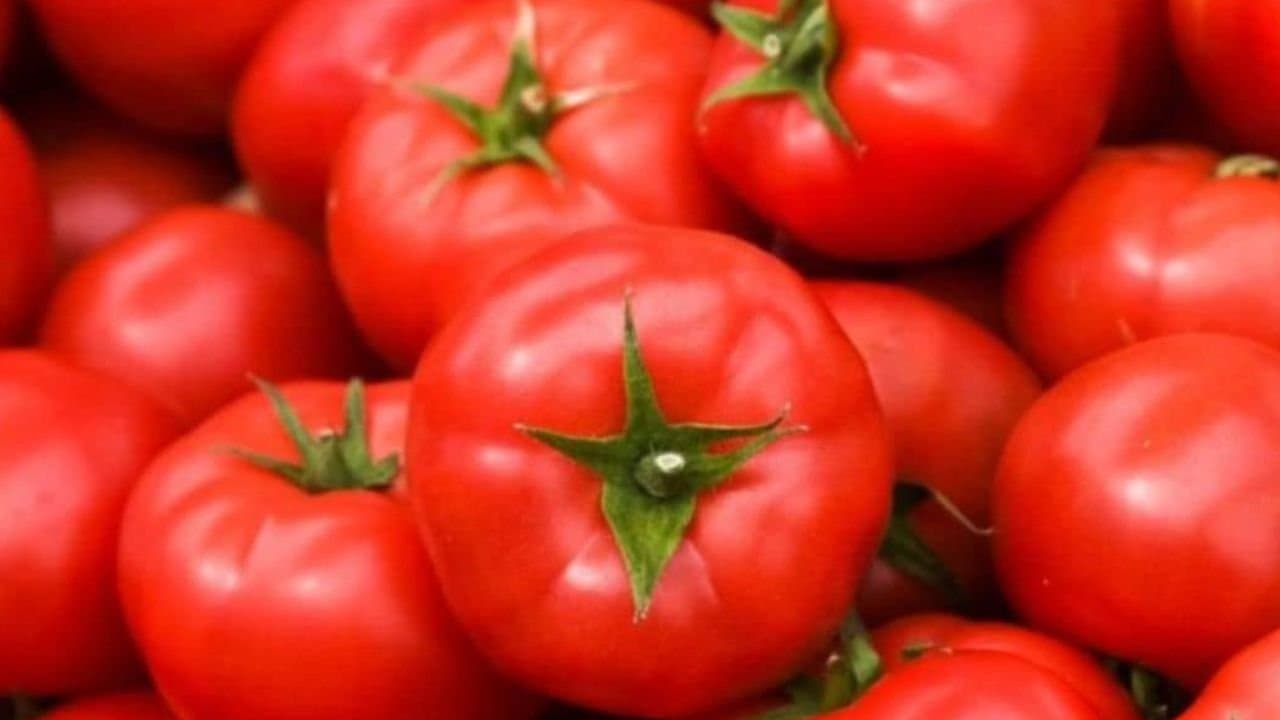 Who should avoid eating tomato