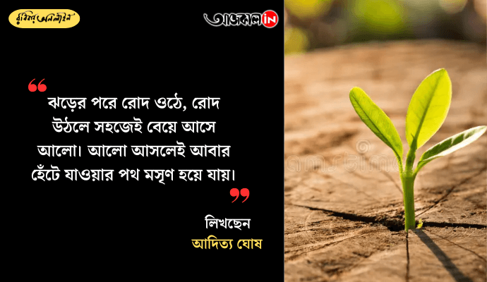 Finding Happiness and Resilience in Everyday Life: A Bengali Reflection on Living Well