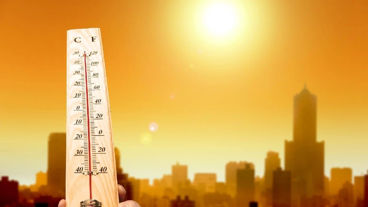 Heatwave Update