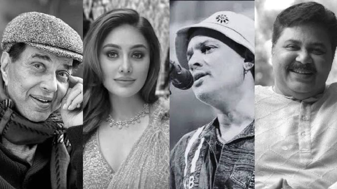 Famous bollywood celebrities who passes away in 2025