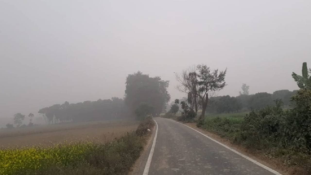 Krishnanagar Intense Fog