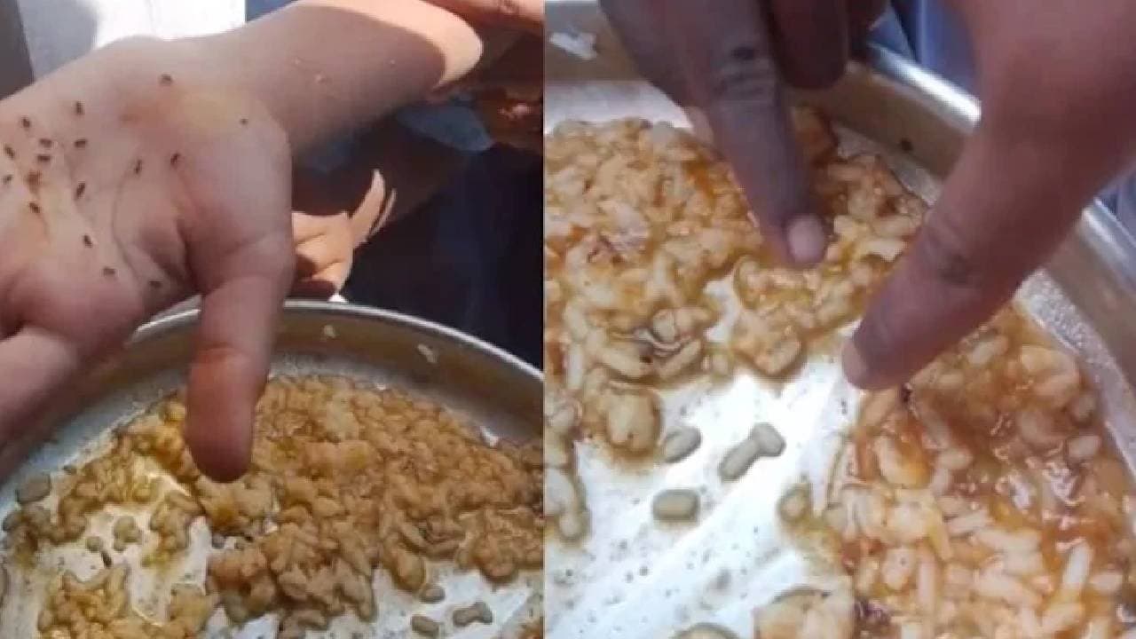 Worm-Infested Rice Found In Karnatakas Mid-Day Meals 