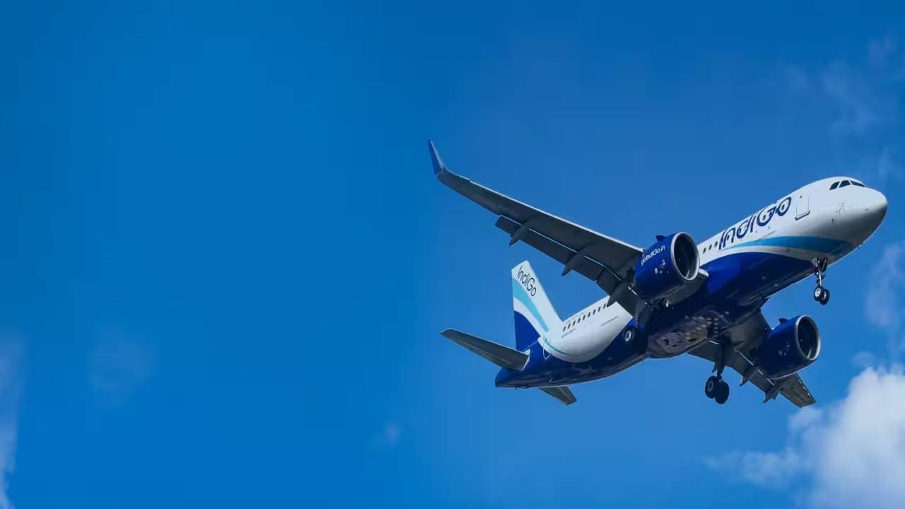 Shortage of Crew Indigo Cancels Over 200 Flights