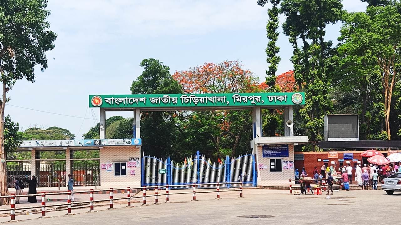 A lion escaped from Bangladesh National Zoo in Dhaka Mirpur