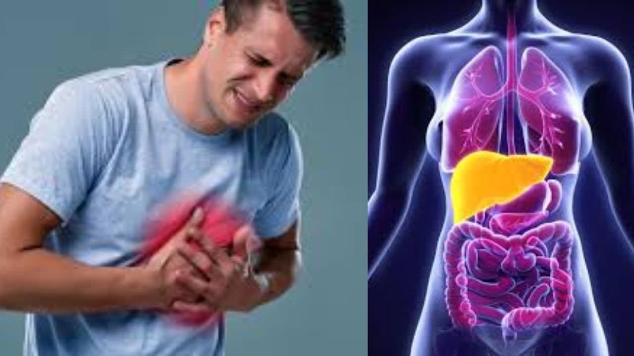 From Heart Attack to Fatty Liver which 5 diseases increased in India in 2025