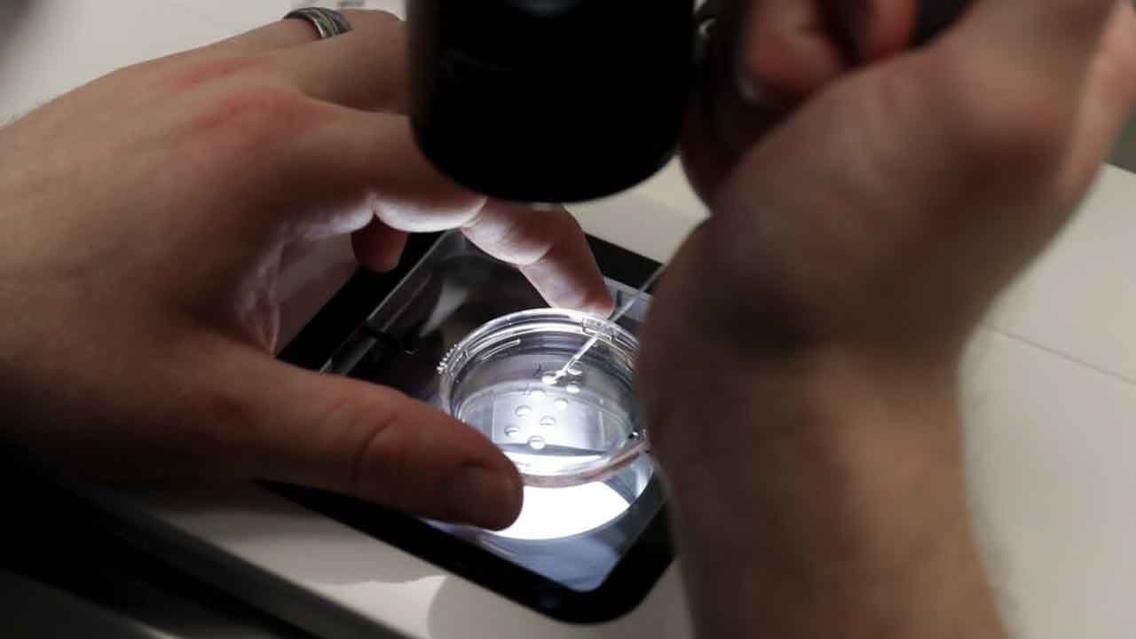 Seed donor: Scandal on cancer risk gene passed by donor